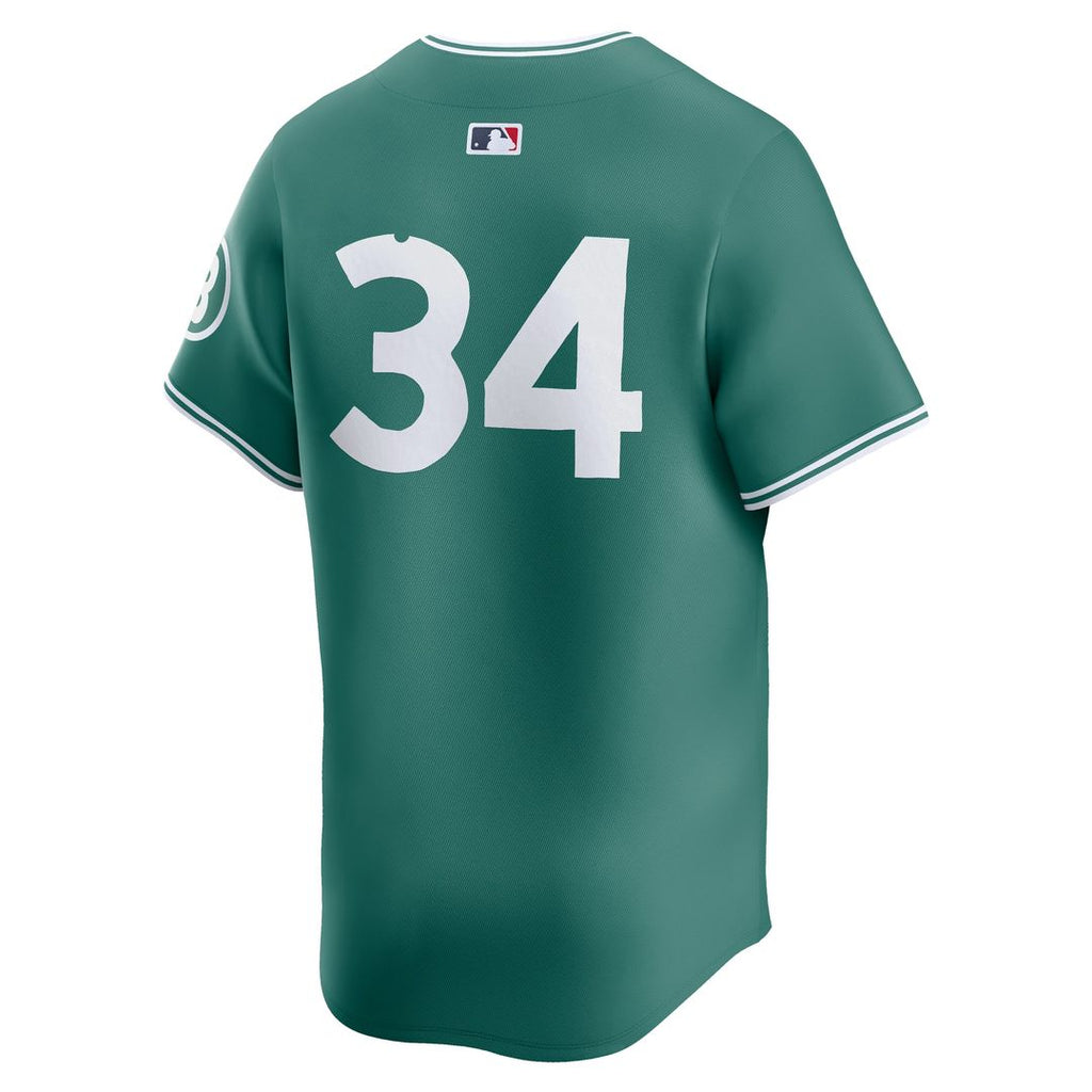 Boston Red Sox David Ortiz 2025 City Connect Limited Retired Player Jersey - Green
